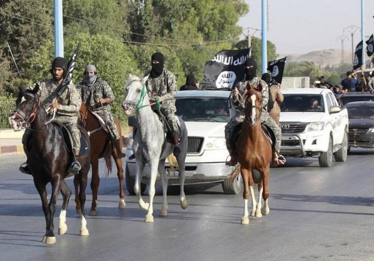 is mosul horses parade
